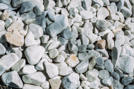 Pebbles, small white stones, the texture of the stone. flower bed designの写真素材