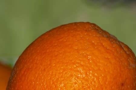 Macro photo orange fruit. Stock photo orange fruits background.の写真素材