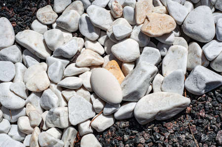 Pebbles, small white stones, the texture of the stone. flower bed designの写真素材