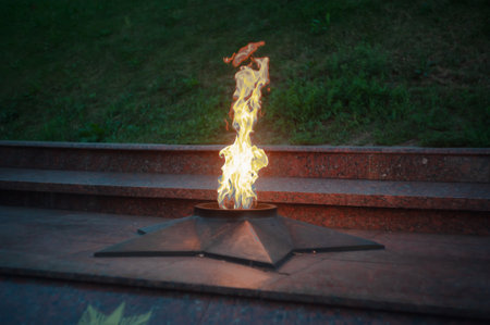 Eternal fire on a background of carnation flowers. The flames are reflected in the granite. Tomb of the Unknown Soldier in Blagoveshchenskの写真素材