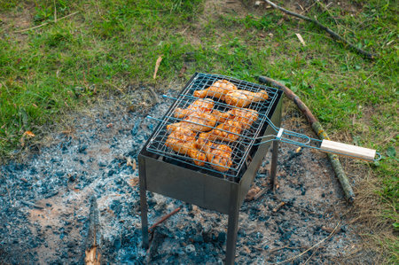 Chicken legs and wings are fried on coals in a brazier in a barbecue grill, marinated chicken is fried on a picnic.の写真素材
