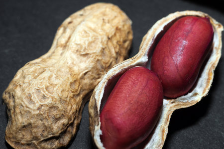 Dried bunches of peanuts close-up. macro photography of peanutsの写真素材