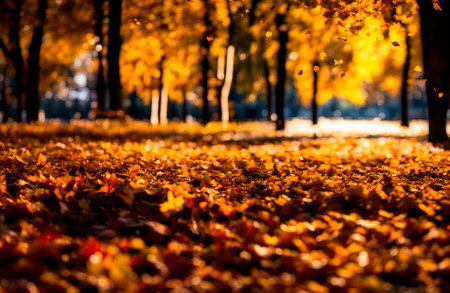 Ground covered with fallen leaves foliage. autumn landscape with bright colorful leaves. Indian summer.の素材