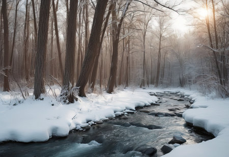 river ravine. mountain river stream in winter. The pine trees are covered with snow. beautiful landscape with snowの素材