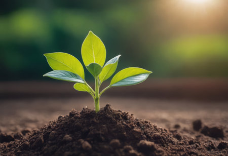 Green seedling illustrating concept of new life and green investment in agricultureの素材