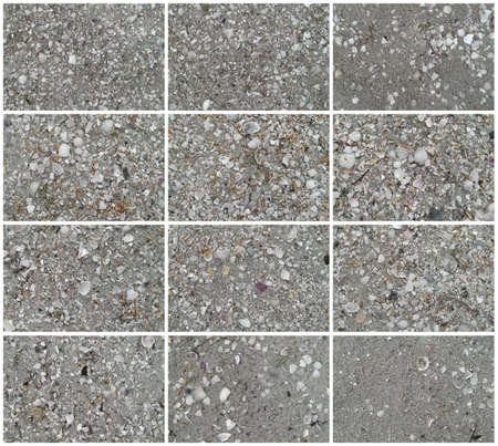 Twenty backgrounds. Shells and sand. The real color. Without saturation of colors.の写真素材