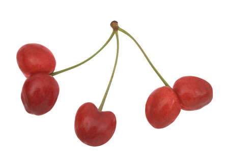 Uncommon cherries on white. Clipping path included.の写真素材