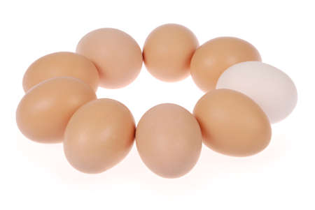 Nine eggs. One egg white. Isolated on a white background. の写真素材