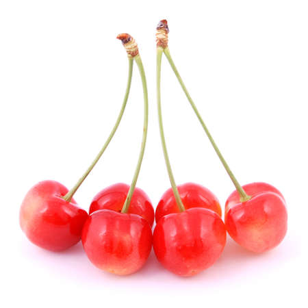 Uncommon red cherries isolated on white backgroundの写真素材
