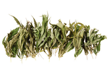 Dried hemp (cannabis) isolated on white backgroundの写真素材