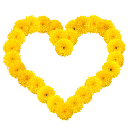 Decorative sunflower heart frame isolated on white backgroundの写真素材