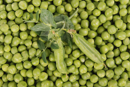 Peas green color food agriculture fresh texture photo stock
