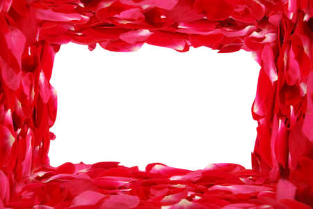 Frame created by rose petals.の写真素材