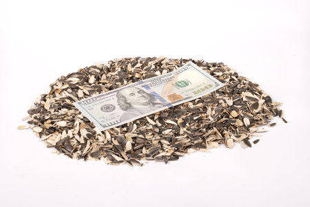 Sunflower husk and money. Abstract money background.
