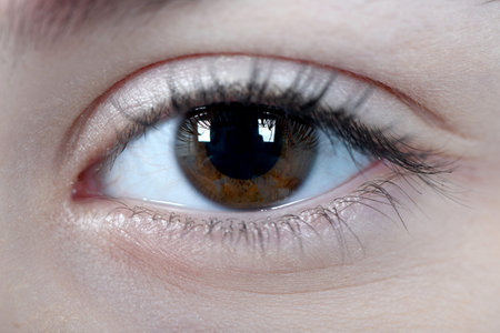 Beautiful girl face close up beautiful hazel eyeの写真素材