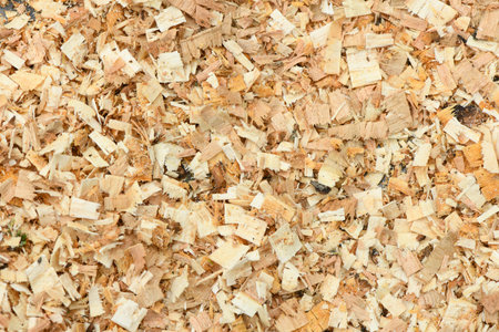 A Freshly Laid Layer of Large Garden Bark Woodchips. Woodchips used as safe soft surface in a...