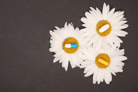 Chamomile flowers, homeopathic medicine. Tablets on yellow pollenの写真素材