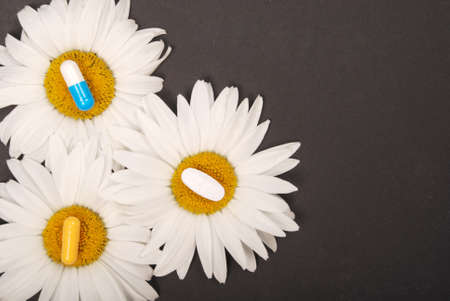 Chamomile flowers, homeopathic medicine. Tablets on yellow pollenの写真素材