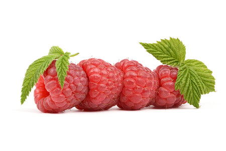 Four red raspberry berries isolated on white background. High resolution photo. Full depth of field.