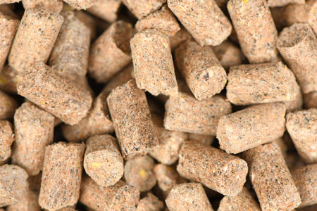 Brown pellets for carp fishing  background. High resolution photo. Full depth of field.