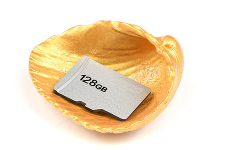 SD memory card on golden seashell isolated on white background. High resolution photo. Full depth of...