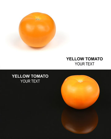 Creative layout made of yellow tomato. Food concept. High resolution photo. Full depth of field.の写真素材