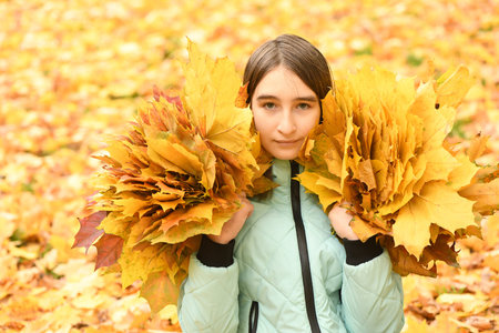 Pre-adolescent girl holds a bouquet of autumn leaves in her hand. Warm autumn day, yellow autumn...