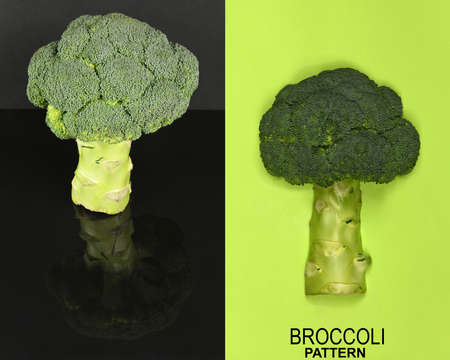 Creative layout made of broccoli. High resolution photo. Full depth of field.の写真素材