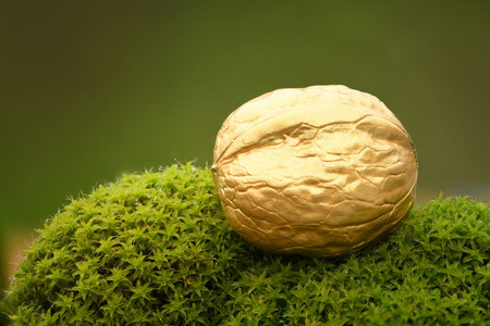 Golden nut on green moss with Large Depth of Field (DOF). Macro view. High resolution photo. Full...