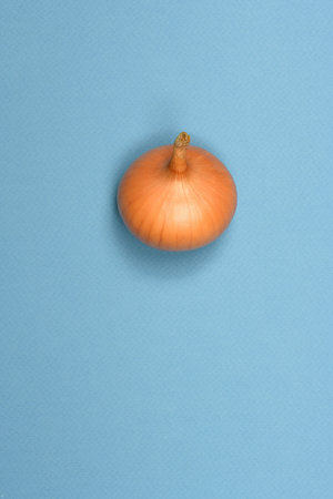 Yellow onion bulbs on blue background. High resolution photo. Full depth of field.の写真素材