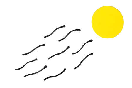 Burnt match sperm concept moving towards the yellow circle human ovum concept. The figurative concept of fertilization. On white background.の写真素材
