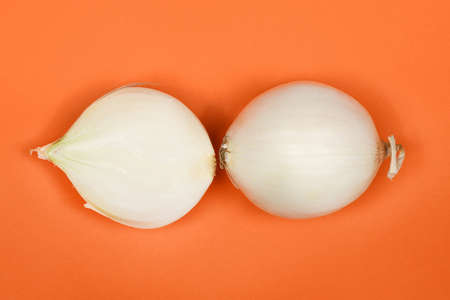 White onion bulb isolated on orange background. High resolution photo. Full depth of field.の写真素材