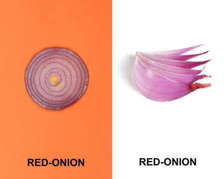 Creative layout made of red onion. High resolution photo. Full depth of field.の写真素材