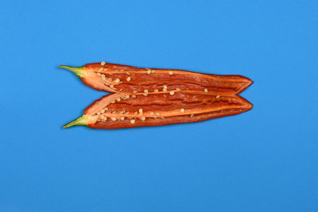 Red chili pepper isolated on a blue background. High resolution photo. Full depth of field.