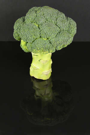 Broccoli isolated on acrylic black background. High resolution photo. Full depth of field.の写真素材