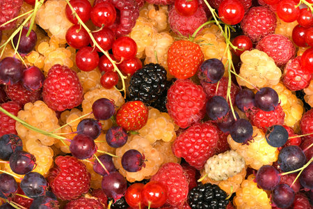 Berries of amelanchier, red currant, yellow and red raspberry. Berry background. High resolution...