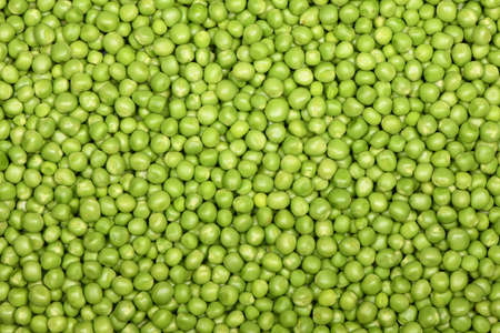 Green wet raw peas vegetable for background. High resolution photo. Full depth of field.の写真素材