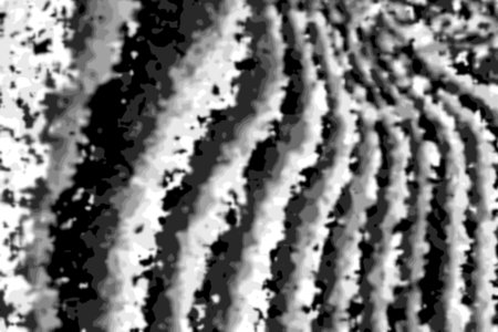 Artistic background. grunge filter. Monochrome particles abstract for wallpaper or backgroun copy...