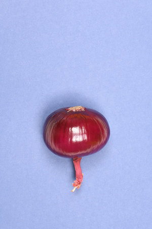 Red onion bulb isolated on blue background. High resolution photo. Full depth of field.の写真素材