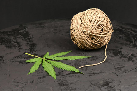 Cannabis leaves and hemp thread, side view isolated on black. Extreme close-up. High resolution...