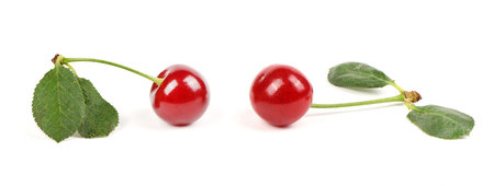 Collection of cherries with green leaf isolated on white background, side view. Extreme close-up....