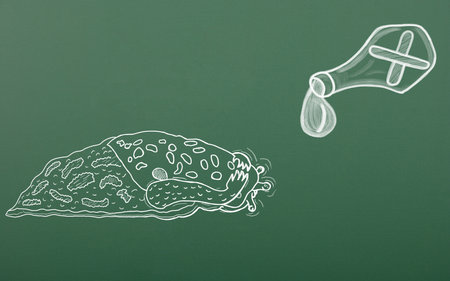 Chalk drawing terrified leopard snail awaiting death from venom. Schoolboard background. pest control conceptの写真素材