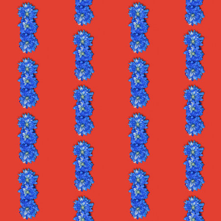 Seamless pattern. Blue chrysanthemum flower (Chrysanthemum indicum) isolated on red background. High resolution pattern. Full depth of field.の写真素材
