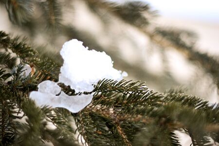 Ice blanketの写真素材