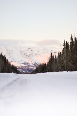 snowy wonderlandの写真素材