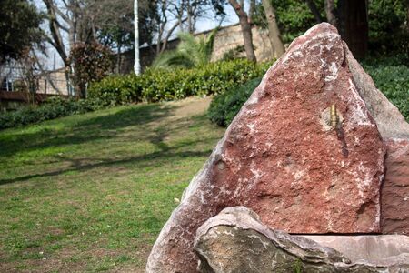 Stone fountainの写真素材