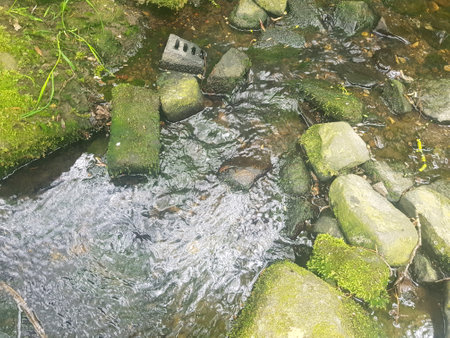 The small stream in the forest, close up of stones and mossの写真素材