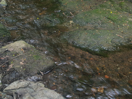 water flowing over rocks in a stream, close up