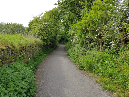 A country lane on a clear day, picturesque landscape