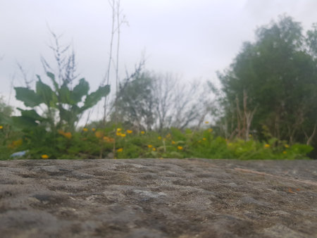 Selective focus of the top of a stone wall on blurred garden backgroundの写真素材